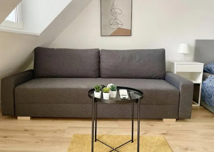 Rooftop With Balcony & Free Parking Apartment