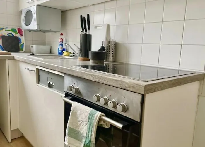 Rooftop With Balcony & Free Parking Apartment Vienna